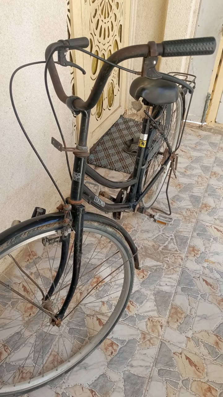 بايسكل ياباني حاوية قضاء الخضر السعر 65 وبي مجال


**إذا كنت صاحب هذا الإعلان وتريد حذفه لأي سبب، رجاءا أرسل رسالة إلى الدعم الفني**