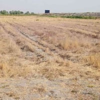 ٦٠ دونم • طابو سند 25 • قرب بنات الحسن