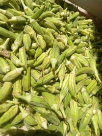 بانيا حياشة • جديدة • توصيل مجاني