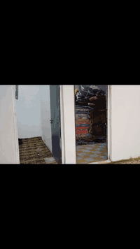 بنهاوندست • 200م • 2غرف