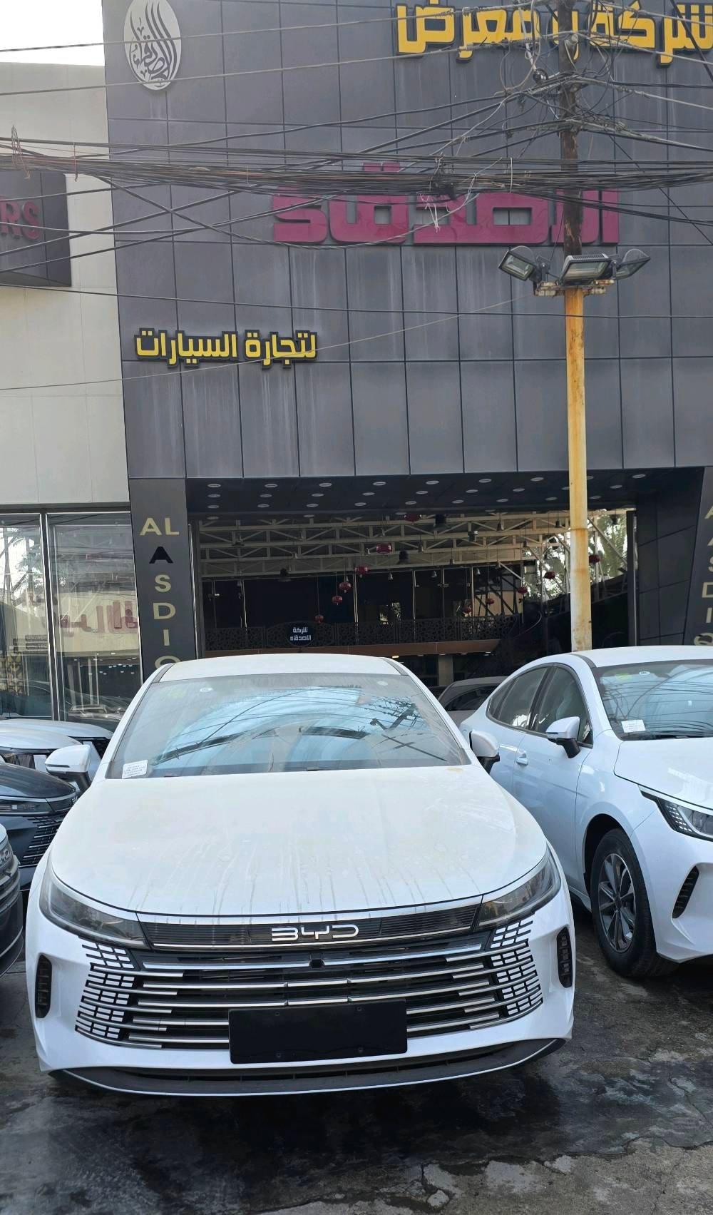 #شركة #لتجارة #السيارات #الحديثة #الاصدقاء #BYD #05 #2025シ #الاسعاربلدينارالعراقي #اتصل*********** #*********** #*********** #شركة #الاصدقاء👑👑 #لتجارة #السيارات #الحديثة #الاسعاربلدينارالعراقي🇮🇶