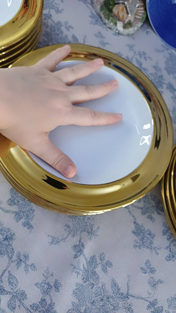 ✨️✨️✨️ ذهبي يعني فخااامة ✨️✨️✨️
افضل وارقى انواع الصحون الذهبي الثابت اللمعان 
قياس ٢٣ سم  عميق 
يتوفر ٣٥ صحن 
💰🪙 سعر الصحن ب٢٠٠٠ فقططط 
توصيل كل العراق ب٤٠٠٠ فقط #creatorsearchinsights


**إذا كنت صاحب هذا الإعلان وتريد حذفه لأي سبب، رجاءا أرسل رسالة إلى الدعم الفني**