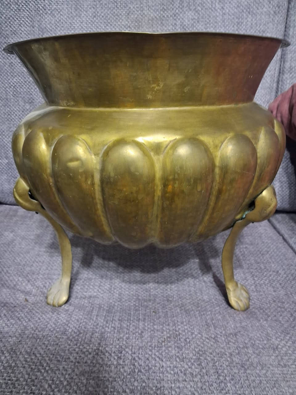 مركن نحاس أنتيكا أصلي على أرجل بتصميم كلاسيكي فاخر ✨

قطعة ديكور مميزة مصنوعة من النحاس الثقيل، مناسبة للديكور المنزلي أو تنسيق الزراعة الداخلية وإضفاء طابع تراثي راقٍ للمكان.

حالة ممتازة وجاهزة للاستخدام أو العرض.
📩 السعر والاستفسار على الخاص


**إذا كنت صاحب هذا الإعلان وتريد حذفه لأي سبب، رجاءا أرسل رسالة إلى الدعم الفني**