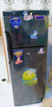 ثلجة • بابين • تجميد مضمون