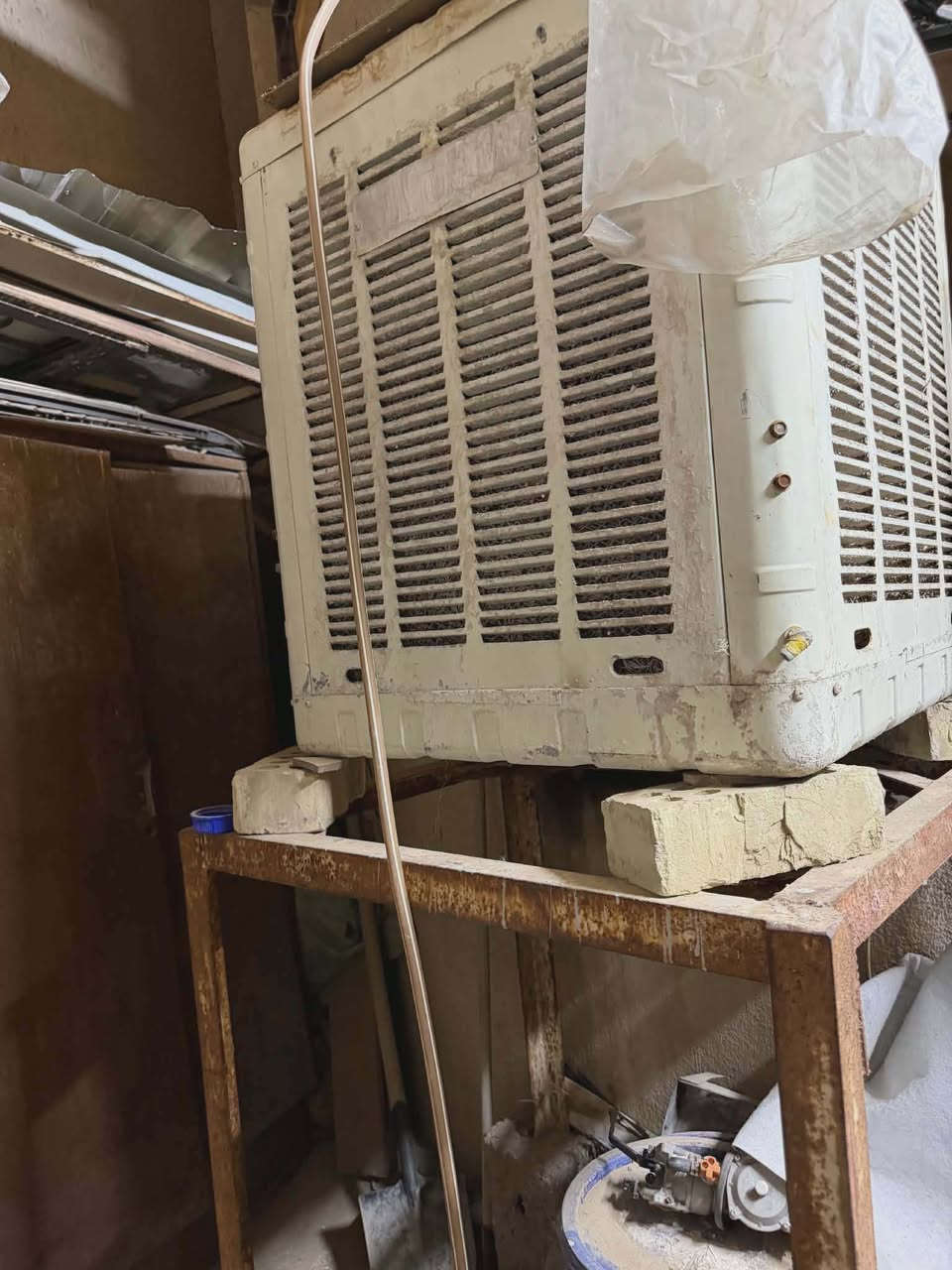 مبردات ثنين هنه والميوزه مالتهن للبيع ب١٥٠ نظيفات 
للحجز مراسلة خاص


**إذا كنت صاحب هذا الإعلان وتريد حذفه لأي سبب، رجاءا أرسل رسالة إلى الدعم الفني**