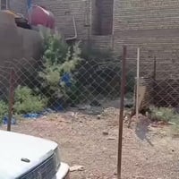 البيع قطعة ارض طابو ملك صرف  170متر 17×10  مربعة  الزعفرانية شارع المع...