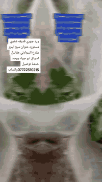 اللهم صل على محمد وال محمد ورد جوري قديفه شتوي عنوان سبع البور شارع ال...