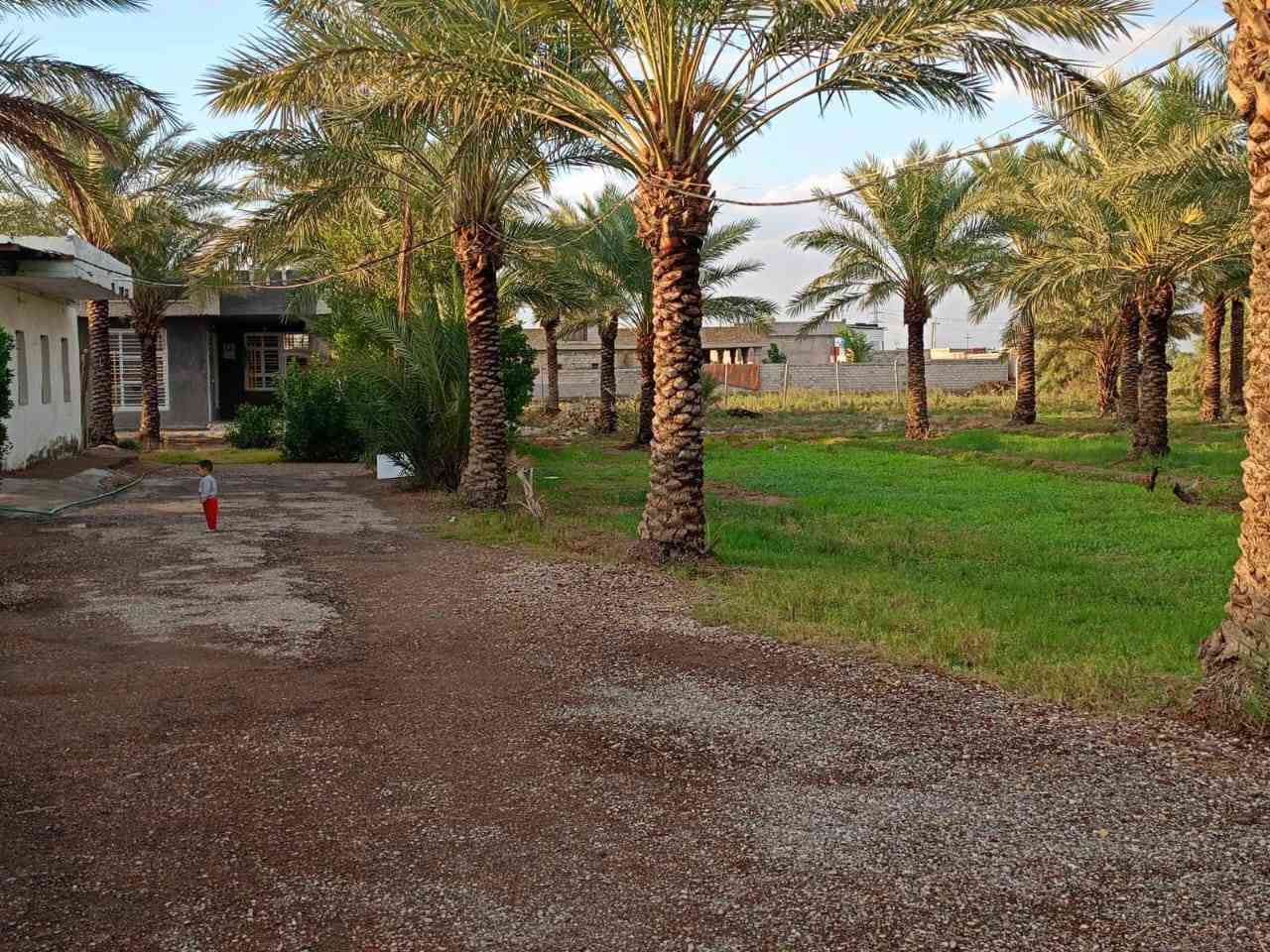 ٢ دونم طابو سند ٢٥ تحويل مباشر وجه شارع العام طريق بغداد كوت واسط عزيزية  الوجه ٤٠ متر كافت الخدمات متوفره***********
