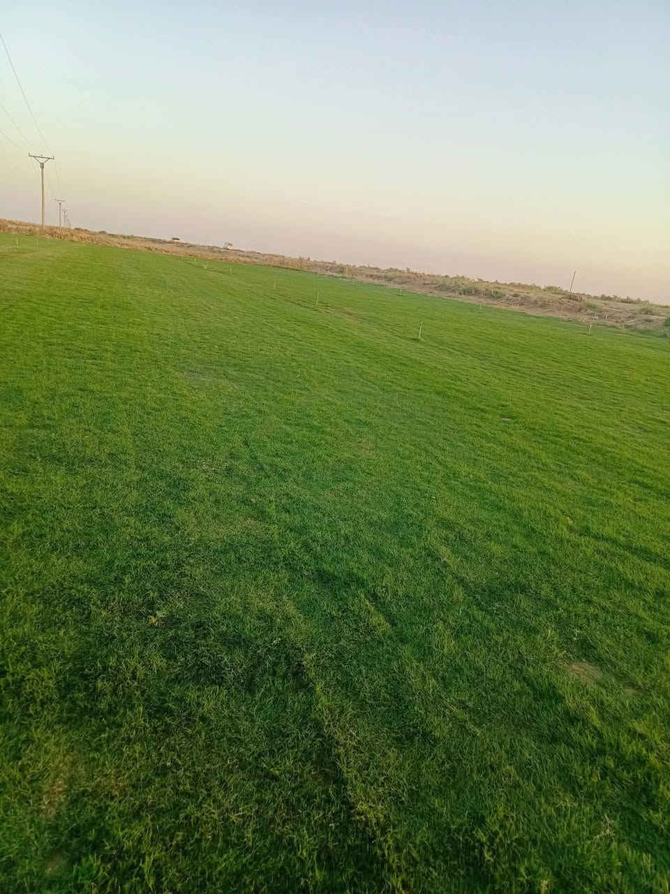 الثيل الهندي درجه الأولى
للحجز الاتصال او المراسلة على الواتساب على الارقام : 
*********** اتصال 
محافظات العراق توصيل
