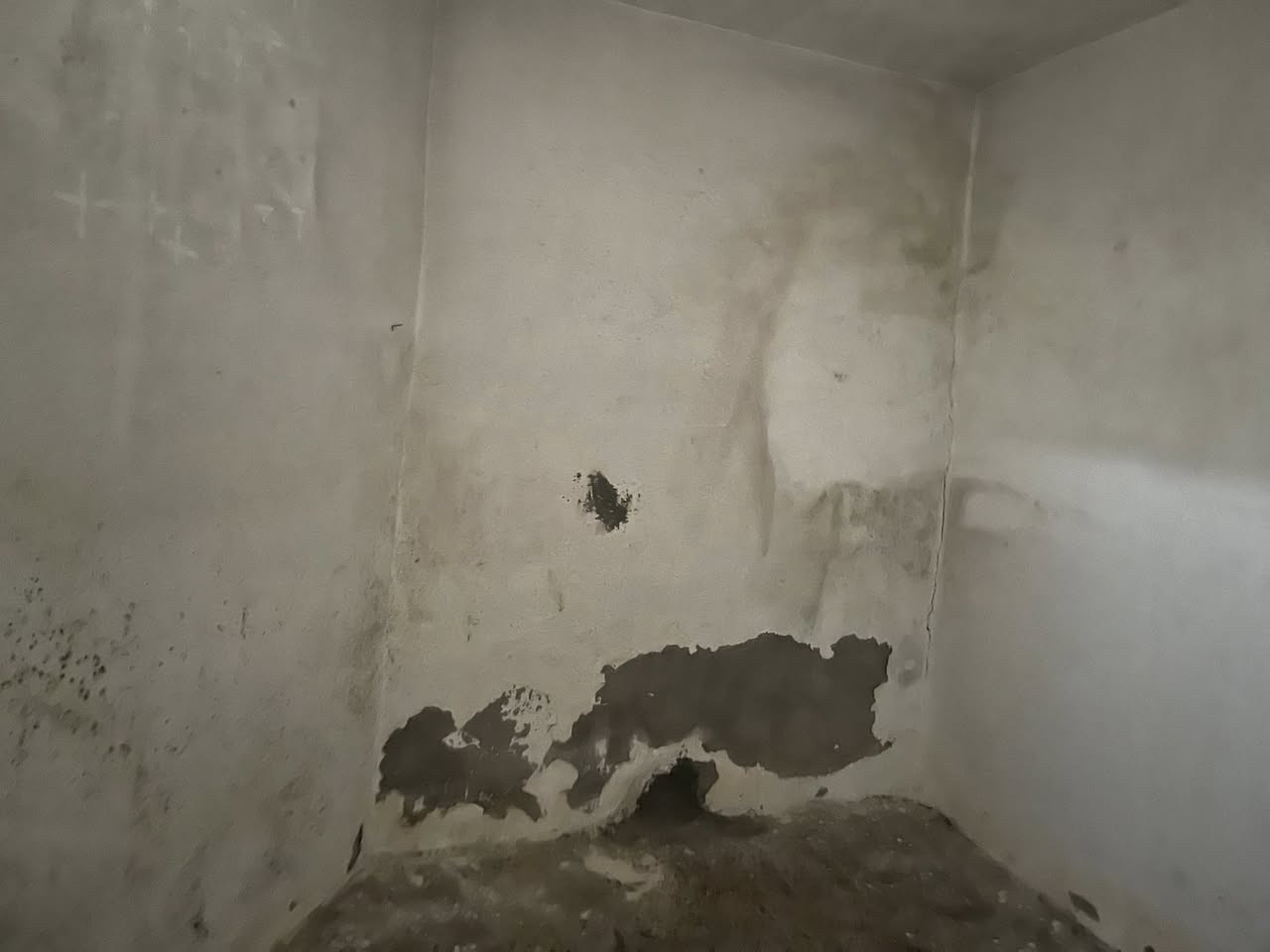 سلام عليكم
مكتب ( عــقـ🏦ــارات ارض بابل) 
🏫 مشتمل للبيع (تقريبن مساحه 100م)
(اصلاح زراعي) فقط مكاتبه 
يتكون من غرفه نوم وصاله ومطبخ ومجمع صحيات 
💸 السعر (7)وبي مجال 
🌏 عنوان ( شارع 80 طريق نجف/ مقابيل مخبز مهند )
للاستفسار 
***********
