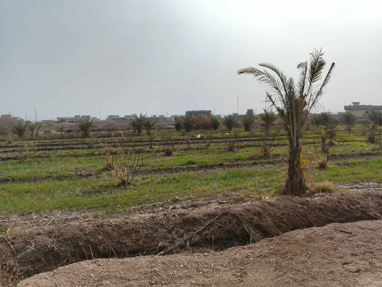 🔥 دونم للبيع 🔥
📍 الفلوجة – النساف
📐 المساحة: دونم واحد
📄 الطابو: سند 25
🛣️ يبعد 200 متر عن الشارع العام
🚧 على شارع تبليط جديد عرض 12 متر
📏 الواجهة: 60 متر
📐 النزال: 42 متر
💧⚡ خدمات كاملة: ماء وكهرباء
🏡 مناسب للسكن والاستثمار
📞 للاتصال: ***********
