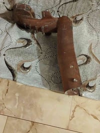 مراوس • بحيوان • جمعيات