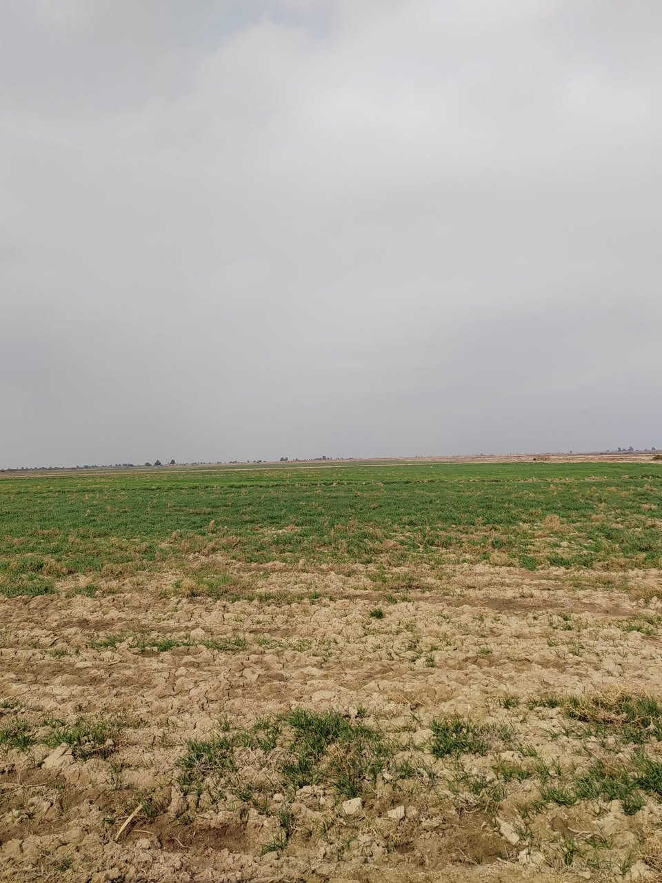 السلام عليكم ورحمة الله اخوان أرض زراعيه ٦٤دونم كهرباء مدرسه شارع تبليط يبعد عنه ٣٠٠متر الاتصال على الرقم ***********
