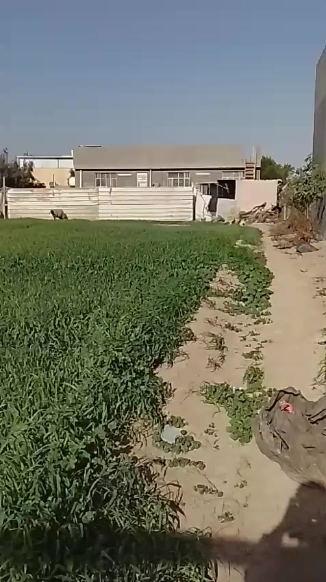 قطعه ارض للبيع مساحه ١٠٠٠متر
في منطقه العريفيه جسر ديالى الجديدخدمات كامله تبليط  ماء كهرباء ....الاستفسار اتصل ع هذا الرقم  ***********.ابو رقيه
