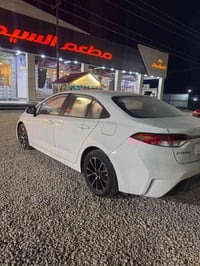 كورله هايبرد • ٢٠٢٥ • رقم بغداد