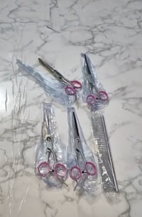 توصيل • جميع المحافظات