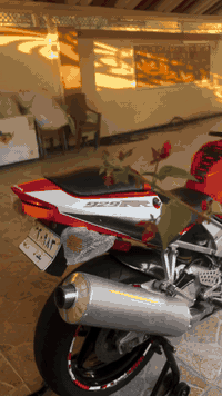 لسلام عليكم للبيع RR929 رقم بغداد سنوية ل27مداور ثاني يوم دراجه ع وضع البلاد كزوز بلادي مال شركة لايت زينون عالي ناصي سعرة 150الف شلعة ومعدل تشك الكاع زوج تايرات صار شهر من شادهن دهن كله موتل (مسويلها ادامه كامله نوزلات +بلكات +فيت بم)محرك كفالة  كير كفالة كهربائيات علا وضع البلاد كلها شغالة 
السعر 29وبيها مجال 
هـ***********
العنوان ديالى سراجق 
تحياتي ♥️
