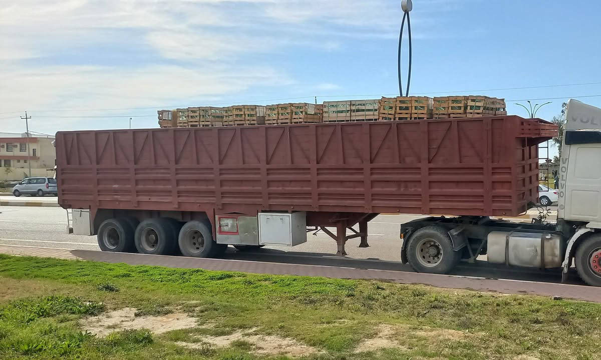 عربانه اجناب للبيع 12،50 تخم تاير جاهزه من كلشي هوه كهربائيات السعر 70 
العنوان سامراء الخط السريع ***********
