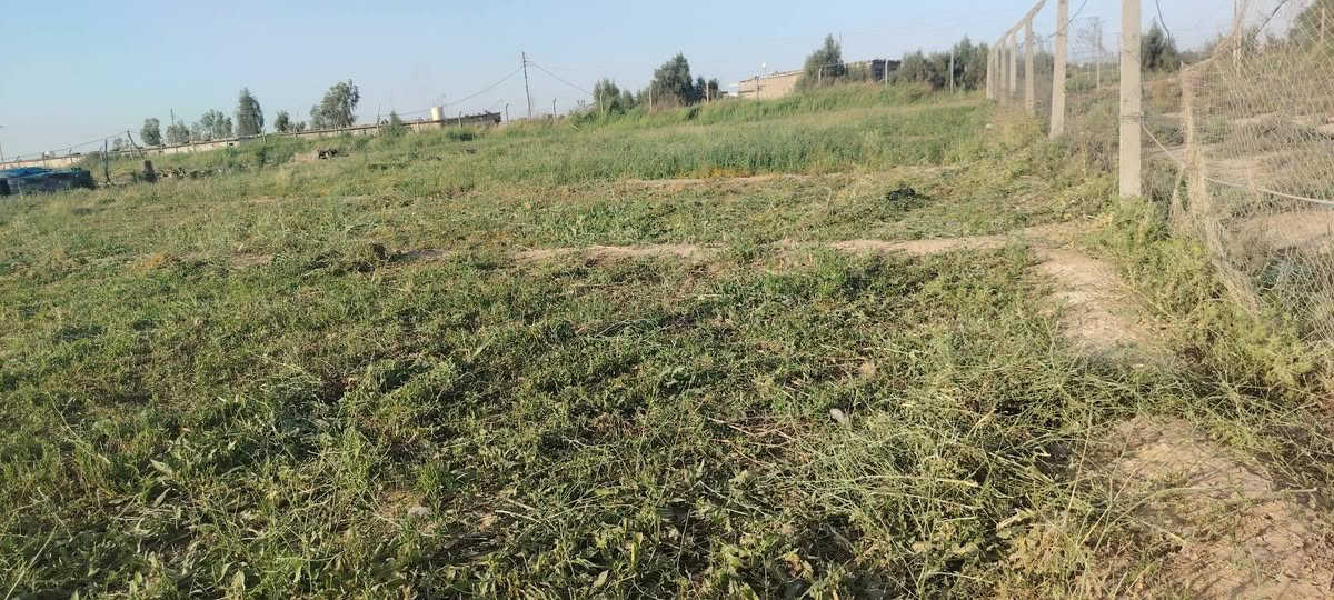 السلام عليكم الأرض زراعية المساحة دونم ونص المكان خلف الجسر الفرنسي كهرباء ماء شارع راح يتبلط منطقة جديدة سعرر خاص.. تواصل واتساب ***********
