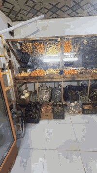 اسوق لبيع عنوان القرنه النهيرات الشمالية زرق بيه خير من الله سبب التعزيل عدم التوفر بسبب الدوام +غراض المحل تلاث عرضات عموديه +عرضه سطحيه +ميز فواكه جام+رفوفه 80كيلوو +مواد غذائية +سبالت تلاث طن +محل جاهز تسوك واكعد +لايجار 100الف رقم الهاتف ***********+‏‪0783 998 6244‬‏
