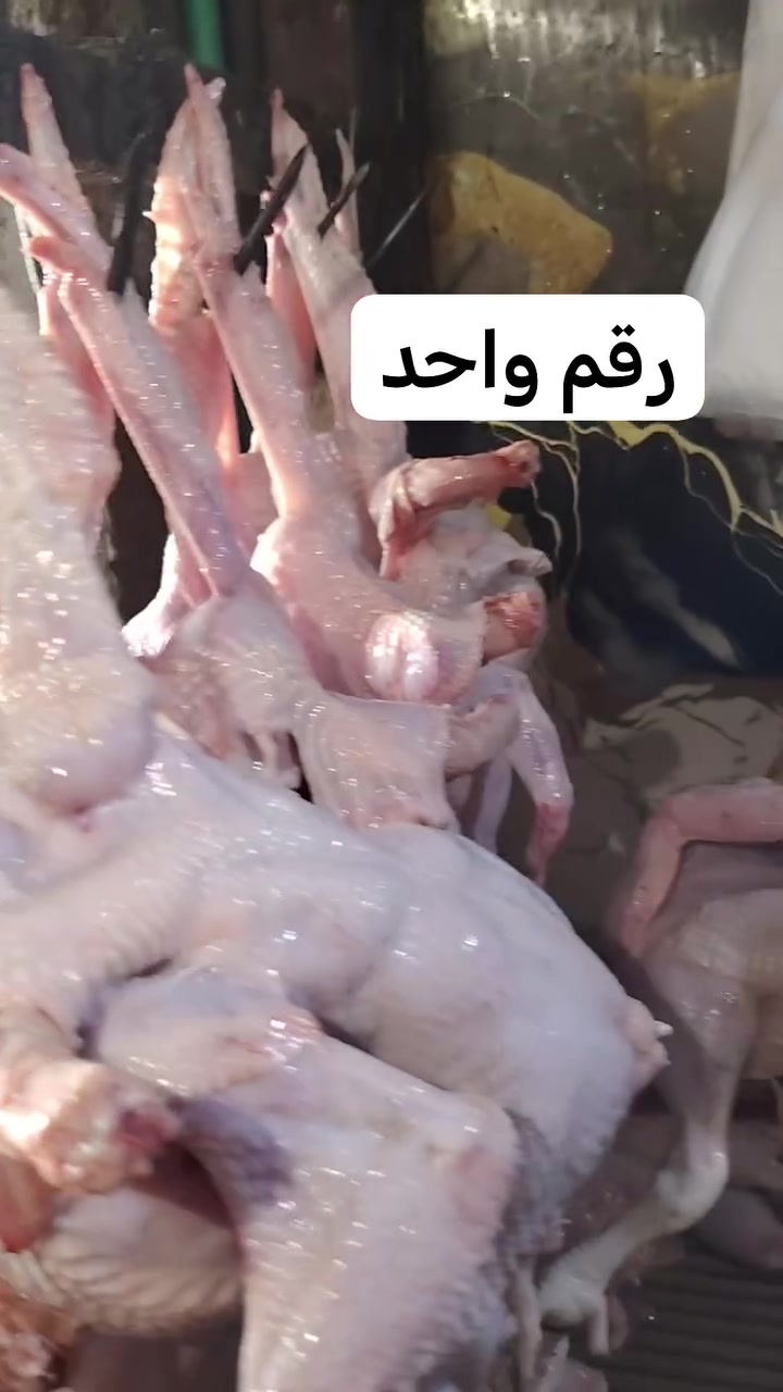 علوه دجاج علاء


**إذا كنت صاحب هذا الإعلان وتريد حذفه لأي سبب، رجاءا أرسل رسالة إلى الدعم الفني**