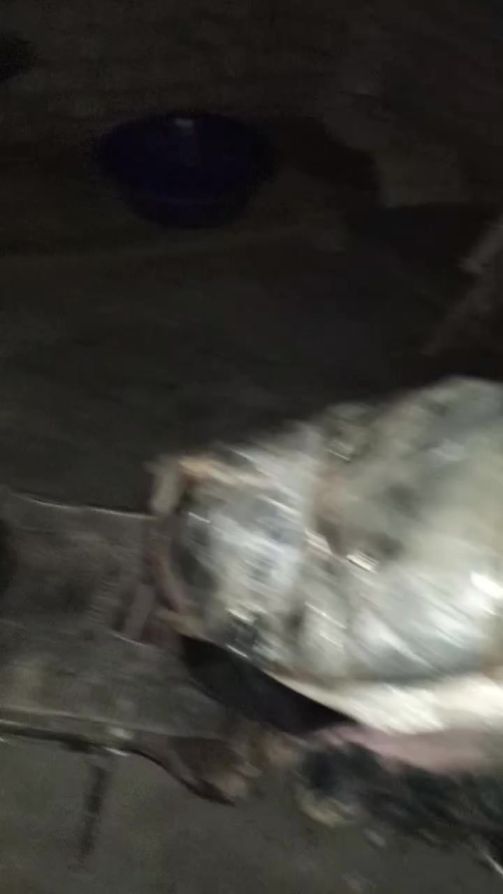 موطور رص لبيع شغال هندر سعر 125


**إذا كنت صاحب هذا الإعلان وتريد حذفه لأي سبب، رجاءا أرسل رسالة إلى الدعم الفني**