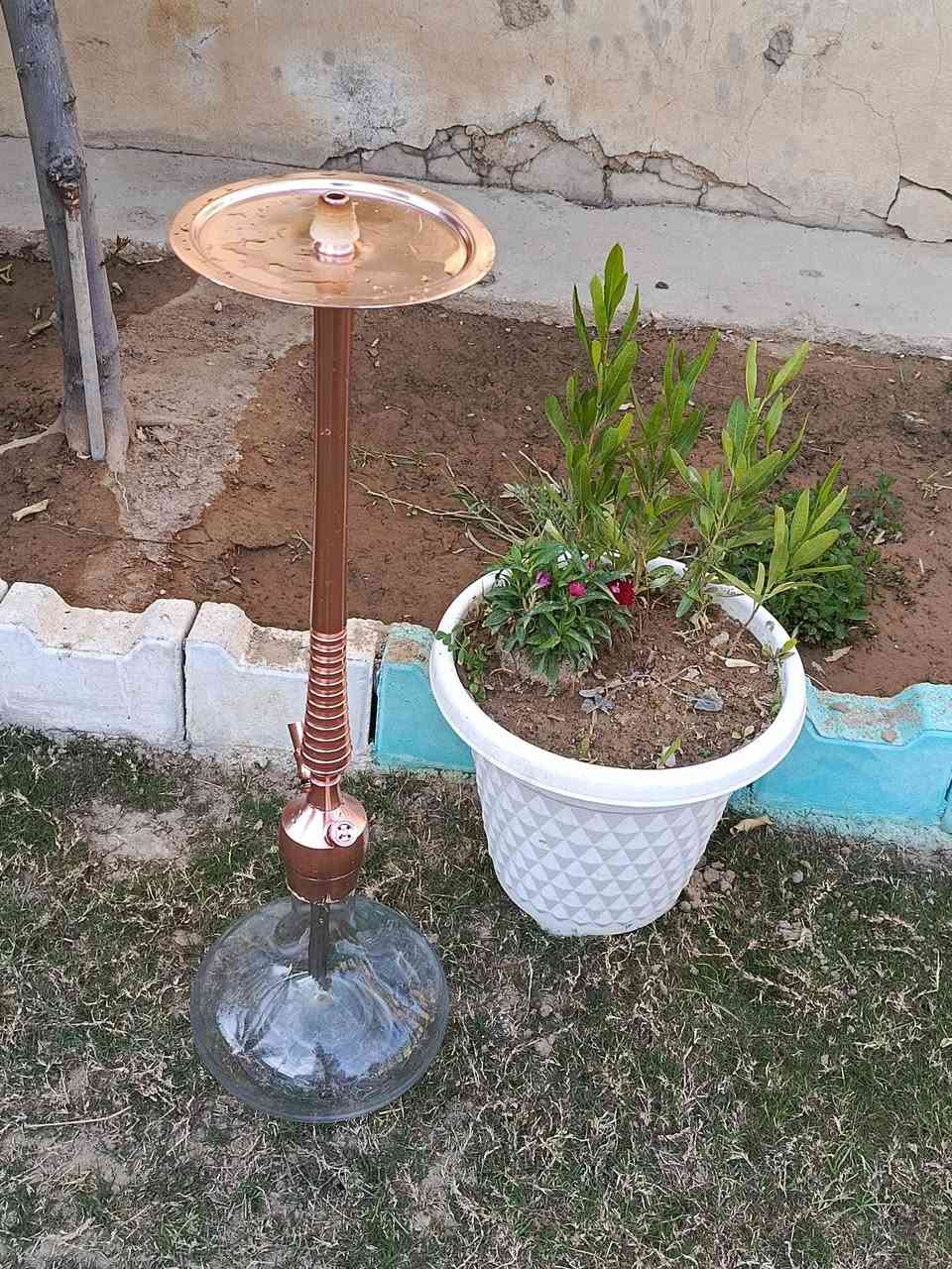 الـسـلام عليگـم
مـن رخصـة الادمـن نـركيلـه للبيـع سـلستيـل اصلـي ضـد الصـدا والـزنجـار مغسـوله وكأملـه للبيـع + مكفـوله مـن سـرقه وعشـاير لان خـالي يـريد يتهمنـي بيهـا 😂😂🤍🚶‍♂️المهـم مـوصلـه {40}الـف 🤍


**إذا كنت صاحب هذا الإعلان وتريد حذفه لأي سبب، رجاءا أرسل رسالة إلى الدعم الفني**