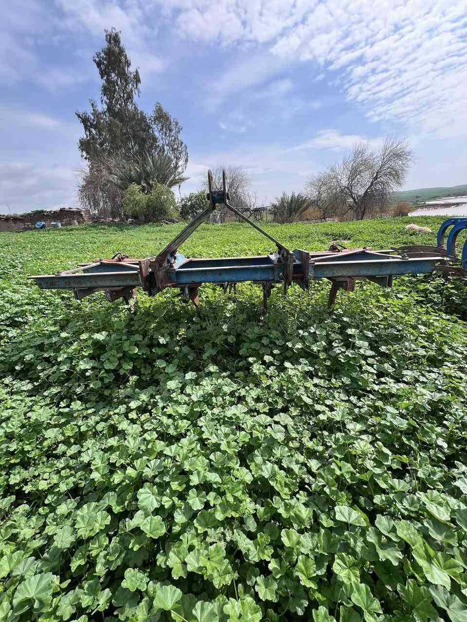 خرماشە ٩قۆل لۆ فرۆشتن یەک  شەریکە احمد قەشقە  لۆ نرخ نامە بنێرە ***********
