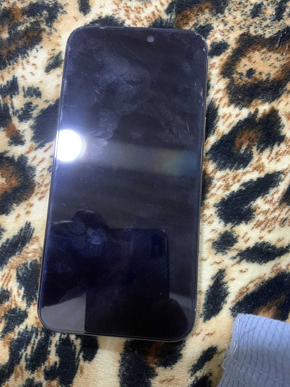 السلام عليكم آيفون ١٥ برو ماكس ذاكره ٢٥٦ بطاريه ٨٧ مبدل شاشه تجاريه الجهاز نضيف شركه ماستر كارتونه موجوده السعر   ٦٥٠


**إذا كنت صاحب هذا الإعلان وتريد حذفه لأي سبب، رجاءا أرسل رسالة إلى الدعم الفني**