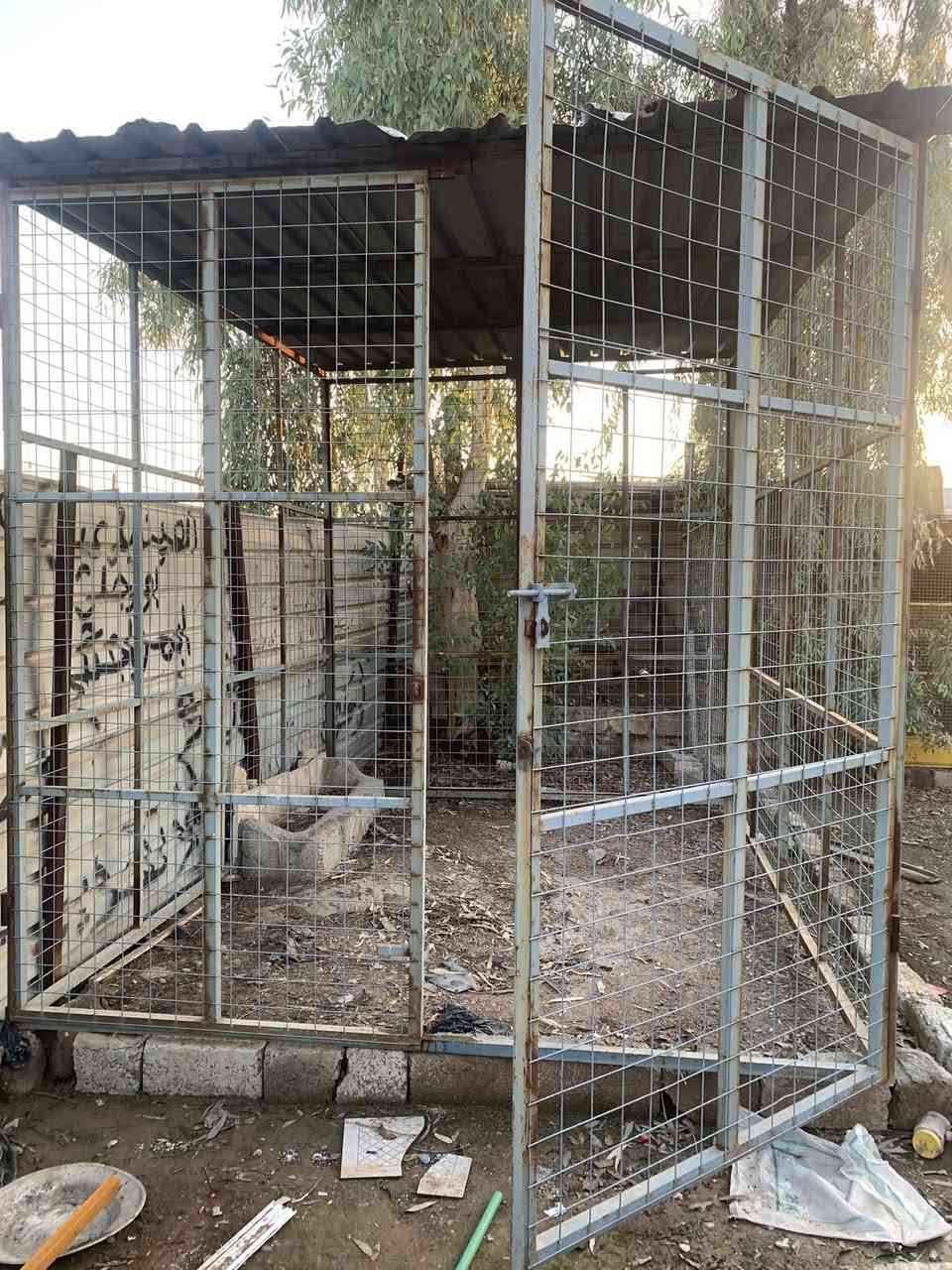 قفص مولدة مساحه ٤*٣ يرهم ربط حلال يرهم كشك 
الاستفسار خاص +***********
