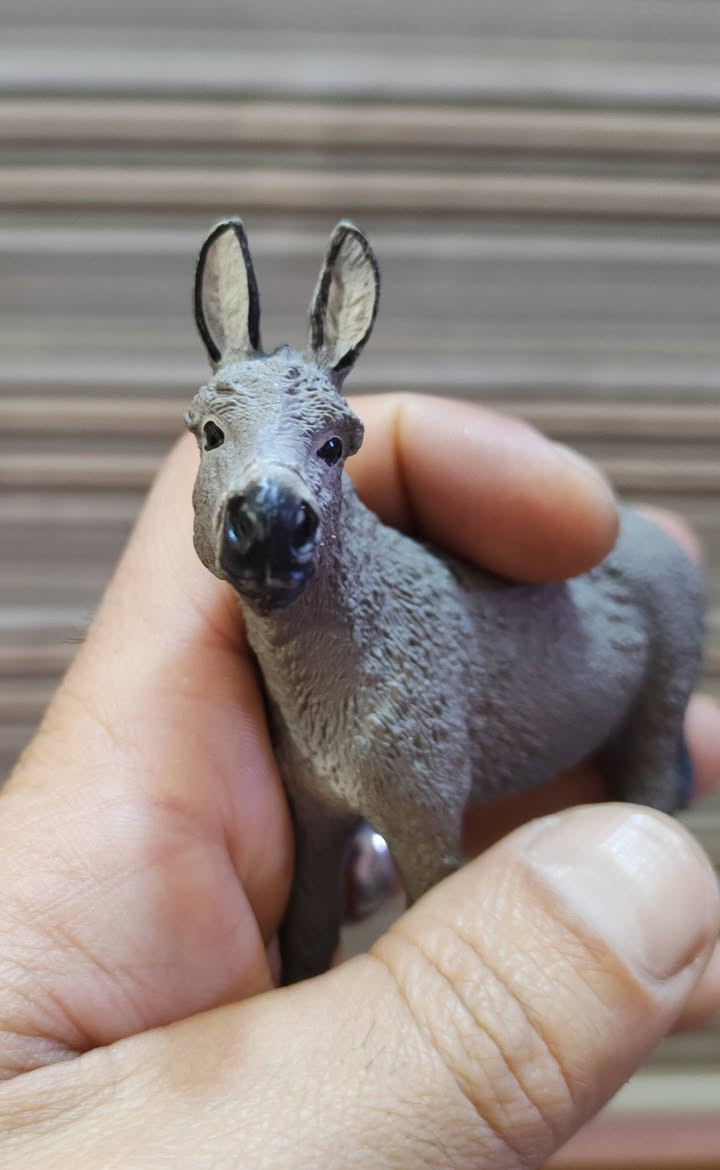 للبيع سعر ٥ الاف العنوان ناصريه مركز


**إذا كنت صاحب هذا الإعلان وتريد حذفه لأي سبب، رجاءا أرسل رسالة إلى الدعم الفني**