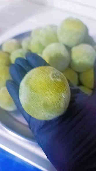 اللهم صل على محمد وال محمد مع برودة الجو تحلى كبه دك حامض الشلغم جهزناه اليووووم تجنننن لحم كصاب بالغلاف الخارجي وبالحشو وجهزنا اليوم طرشي شتائي احمر مخلله الي مامجربه خلي تجرب شغلنا وتحكم كربلاء الحجز على الخاص او الرقم *********** بيه واتساب توجد خدمة توصيل كربلاء
