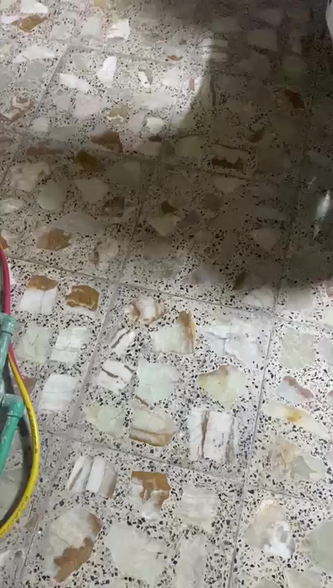 السلام عليكم 
دراجة سكنس فحل حديث جديدة لوك
سرعة 140 نوزل خين اسلف بلادي 
كفرات اصليه ومختمة ختم واحد مع محرك 
وراقها ابسمي ام طلاعات ستاند كهرباي حساس
عداد كتروني شغال سويج بلادي مرايات اصليه
شراي يتصل ***********
شر ضمان نطيك بلدراجة وكفاله عامه
