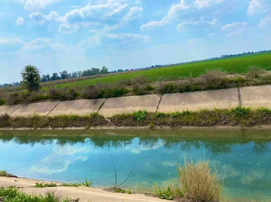 آخر 4 دوانم بلأرض وسعرهن كلهن ب 32
يعني ال 4 دوانم كلهن ب 32 مليون فرصه
ذهبيه جنس الارض طابو زراعي سند 25
حق التصرف والارض على شارع 10 متر
وواجهية الدونم الواحد 45×55 يعني مربع
العنوان تاجي سبع البور منطقة الشيخ عامر 
بلعيساويه تبعد عن سوك الشيح عامر 12
دقيقه وعن مدينة سبع البور 15 دقيقه 
للاستفسار واتساب ***********
وتساب ***********
