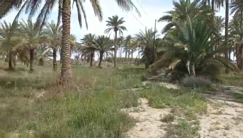5 دوانم طابو ملك صرف باليوسفية مباشر عشارع العام السايدين مال اليوسفية القصر الاوسط ! 
اكرر طابو ملك صرف بستان كما موضح بالفيديو 
بيها 8 اجازة بناء وبيها 8 محلات البناء الموضح بالفيديو 
خدمات كاملة مي وكهرباء وشارع تبليط 
سند مستقل بأسم شخص واحد فقط تحويل بطابو المحمودية تبعد عن شارع المحمودية ( حلة بغداد ) تقريباً 4 كيلو 
تريدها تجارية تريدها صناعية تريدها سكنية تريدها استثمار ( تقطيع )  كلشي ترهم مزارع مخازن جملونات شركة معمل … 
موقع جداً راقي وممتاز 
سعر دونم ب350 مليون وقابل للتفاوض تباع شلع بدون تقطيع 
مسيجة بي ار سي مثبته حدودها 
واجهه الارض 112 متر 
نزال الارض 120 الى 122 متر
فقط الجاد بالشراء يتصل بي عن طريق الرقم او عن طريق الواتساب 
***********
