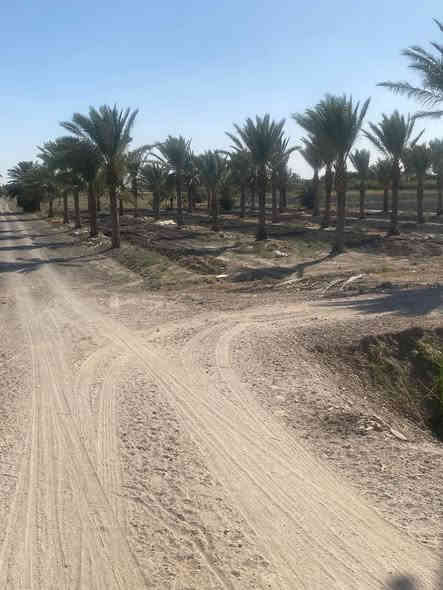 بيع سريع 4 دوانم سند 25 تحويل مباشر 
سبع البور البصام مقابيل مجمعات سكنيه 
علشارع التبليط مباشراً 
سعر الدونم 105 وبي مجال بسيط!
*********** واتساب او تصال اني بلخدمه
