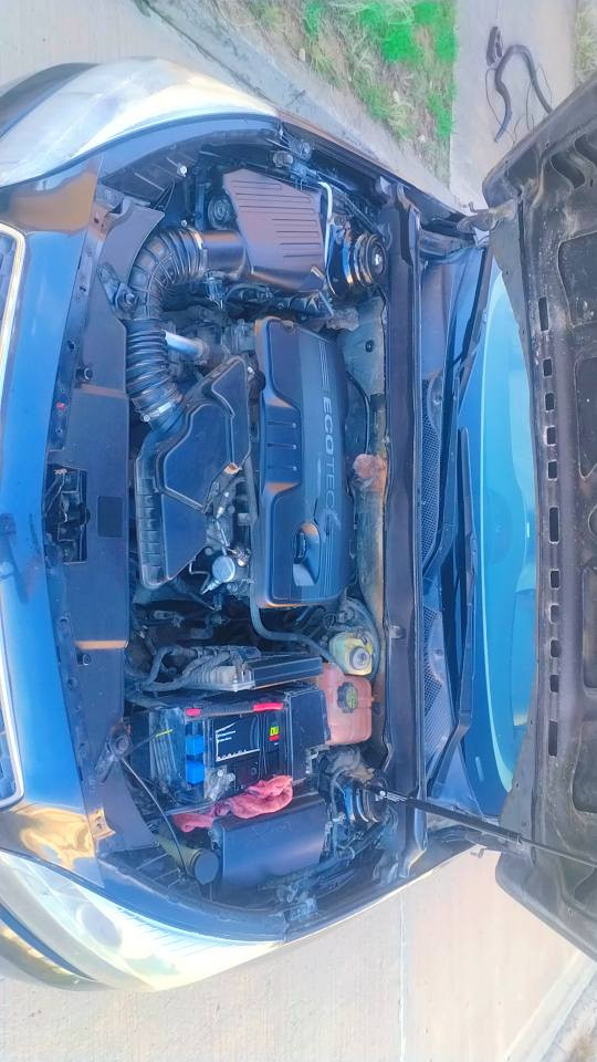 مالیبۆ مۆدیل 2013
سنوی ئاسلی یک دینار غارمی لاسار نیا  
سبوغ حام نابی حیزم نابی 
78مەحمل 
*********** أربيل, العراق
