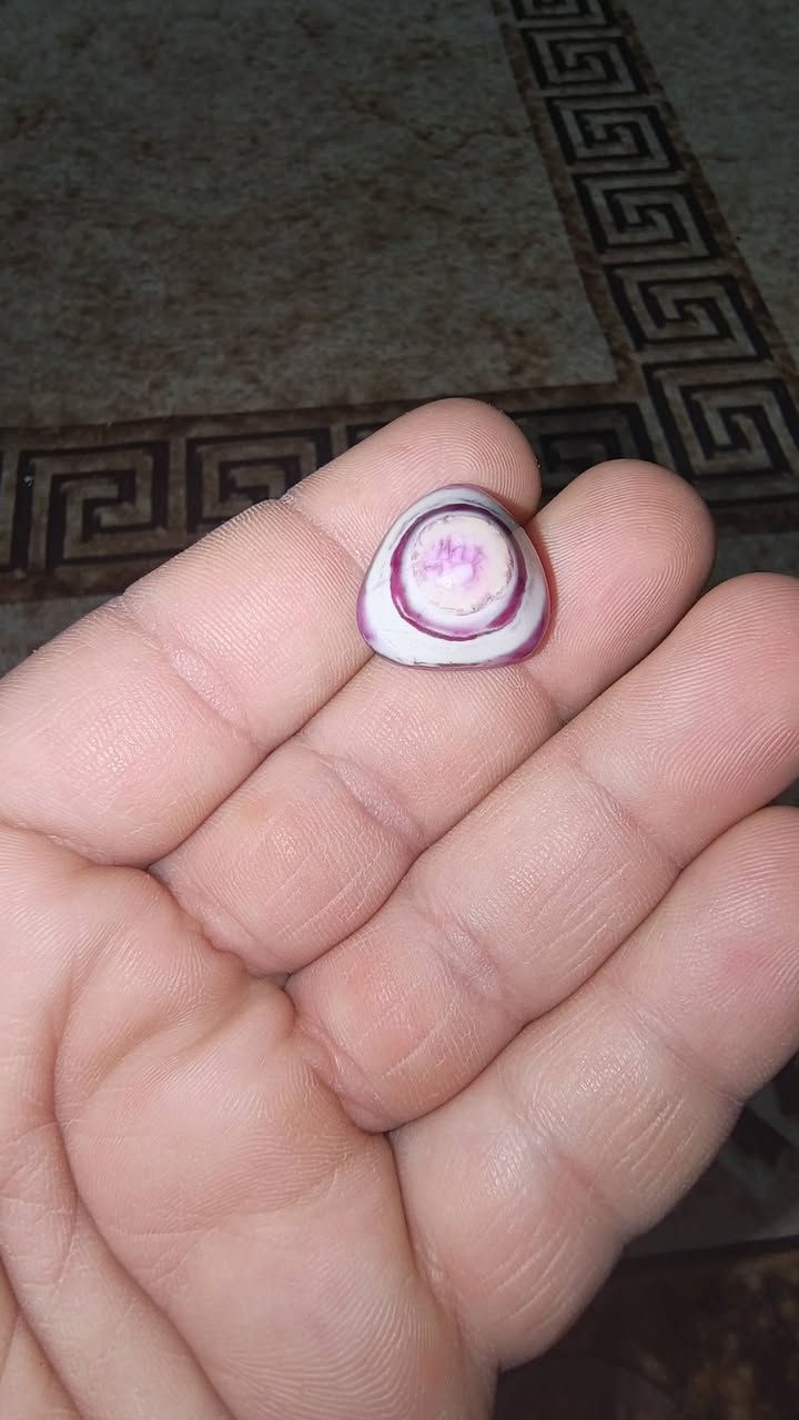 بيع او مراوس


**إذا كنت صاحب هذا الإعلان وتريد حذفه لأي سبب، رجاءا أرسل رسالة إلى الدعم الفني**