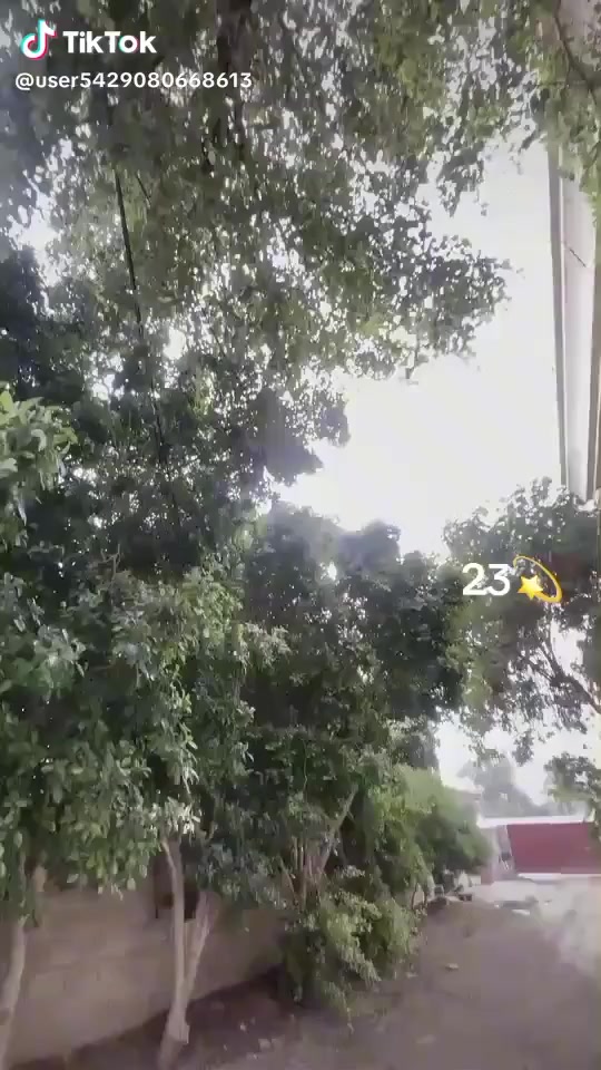 ياالله
السلام عليكم🤍

تايكر مرقم ديالى للبيع سنوية بسمي 

تحويل شوكت متريد موديل 23  ✨

مكفول من كلشي💫
السعر اتصل ***********
