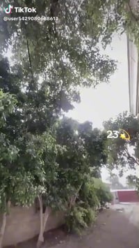 تايكر • موديل 23 • مرقّم ديالى