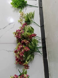 ورد • ورد جديد • زهور • زهر • ديكور ورد • زينة منزلية • ورود للبيع • س...