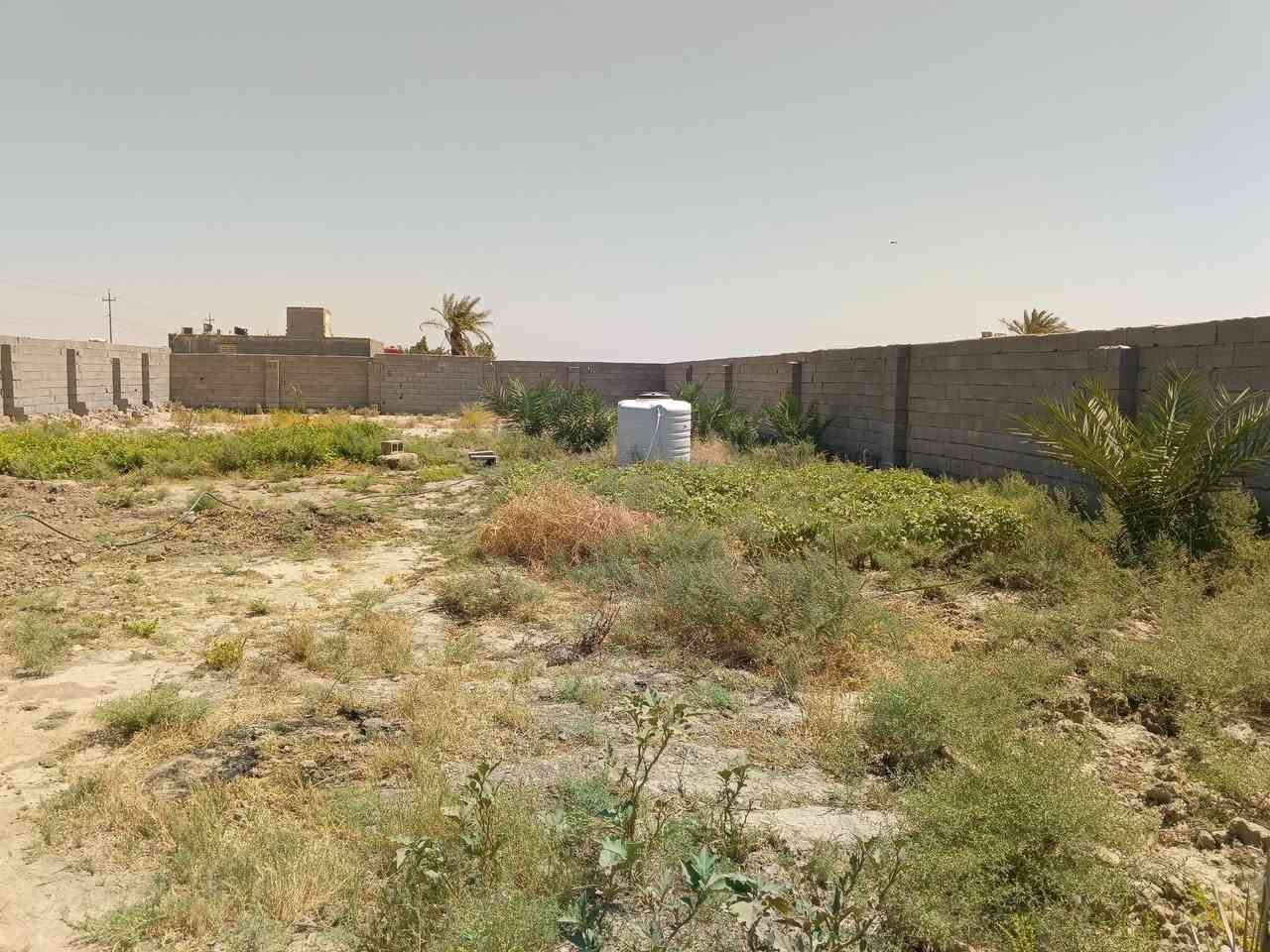 السلام عليكم اخوان قطعه للبيع بگاع بيت جليل ال خرموش مساحته 650 ماي و كهرباء كلشي متوفر يمها تريد نص او كلها السعر خاص محافظة ذي قار قضاء الدوايه الشراي بيه خير ويدلل والي مو شراي لايتعبنه وياه 
الرقم:***********
