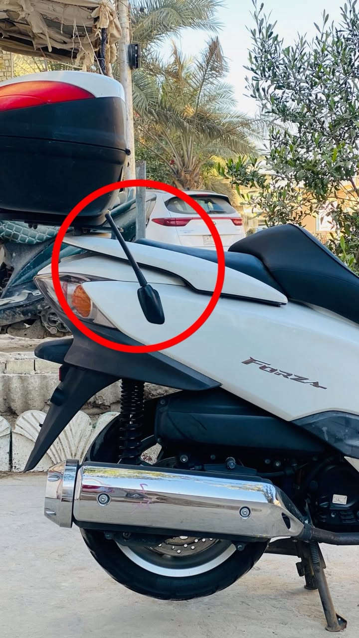 اريل فورزه 010 بلاد 
موجود كامل هوه ولاستيكه وموجود فقط اريل
***********  توصيل محافضات
