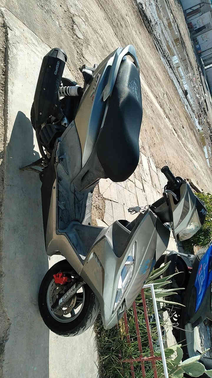 السلام عليكم دراجة GTR رمبة رمبة للبيع نازلة صار الهة تقريبا شهرين او 3 الدراجة شگد ما اگول جديدة جذب تجي تفحص وتشوف بعينك جيب احسن فيتر وتعال من مكينة او كهربائيات او كفر والصور تحجي مكاني بغداد الثعالبه  الهاتف اتصال او واتساب ***********🤍
