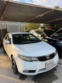 سيراتو • ٢٠١٣ • نمر سليمانية