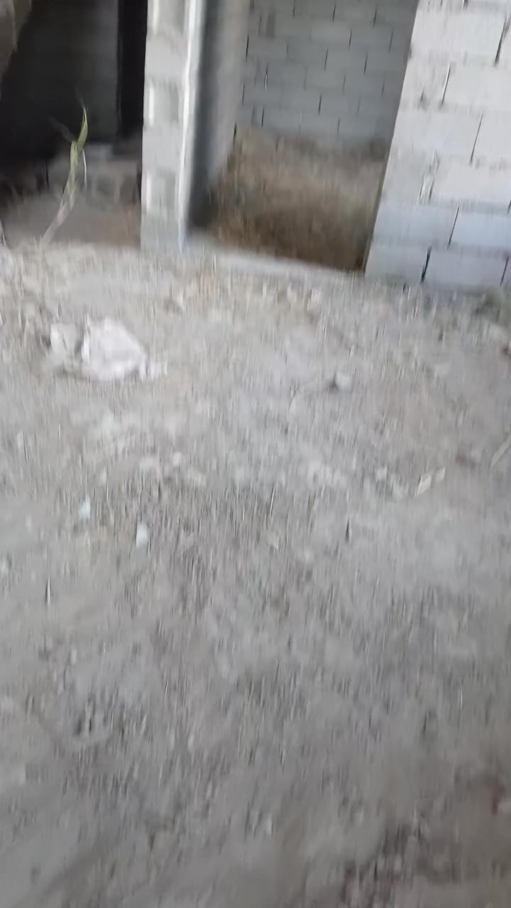 سلام وعليكم هيكل للبيع مساحه ١٠٨متر جنس ارض طابو زراعي سند ٢٥ عنوان دور زراعه قريت عداي شراي يتصل***********
