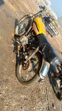 دراجه • مكفولة • كفالة عام