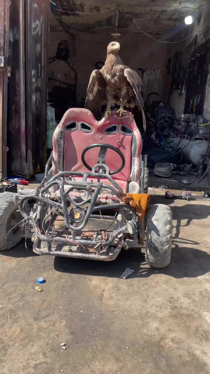 بكي مني للبيع عوزه ترتيب وبريك مكينه برغي مامطخوخ   مكاني بغداد الشماعيه ***********
