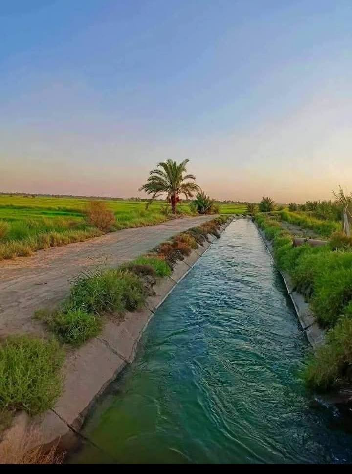 سلام عليكم كاع في منطقت الشيخ عامر قريب على التاجي كاع حلو ومعدله ومربعه كلش حلو اطلب وستفسار عل الواتساب ***********التصال على الواتساب
