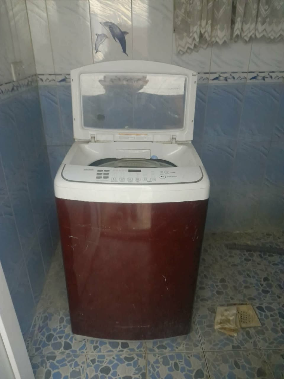 طباخ خمس عيون شغال ونظيف سعره 100مع مجمده تجميدهه يخبل سعره 100غساله اوتوماتيك شغاله سعره 100مكانهم حي الاعلام


**إذا كنت صاحب هذا الإعلان وتريد حذفه لأي سبب، رجاءا أرسل رسالة إلى الدعم الفني**